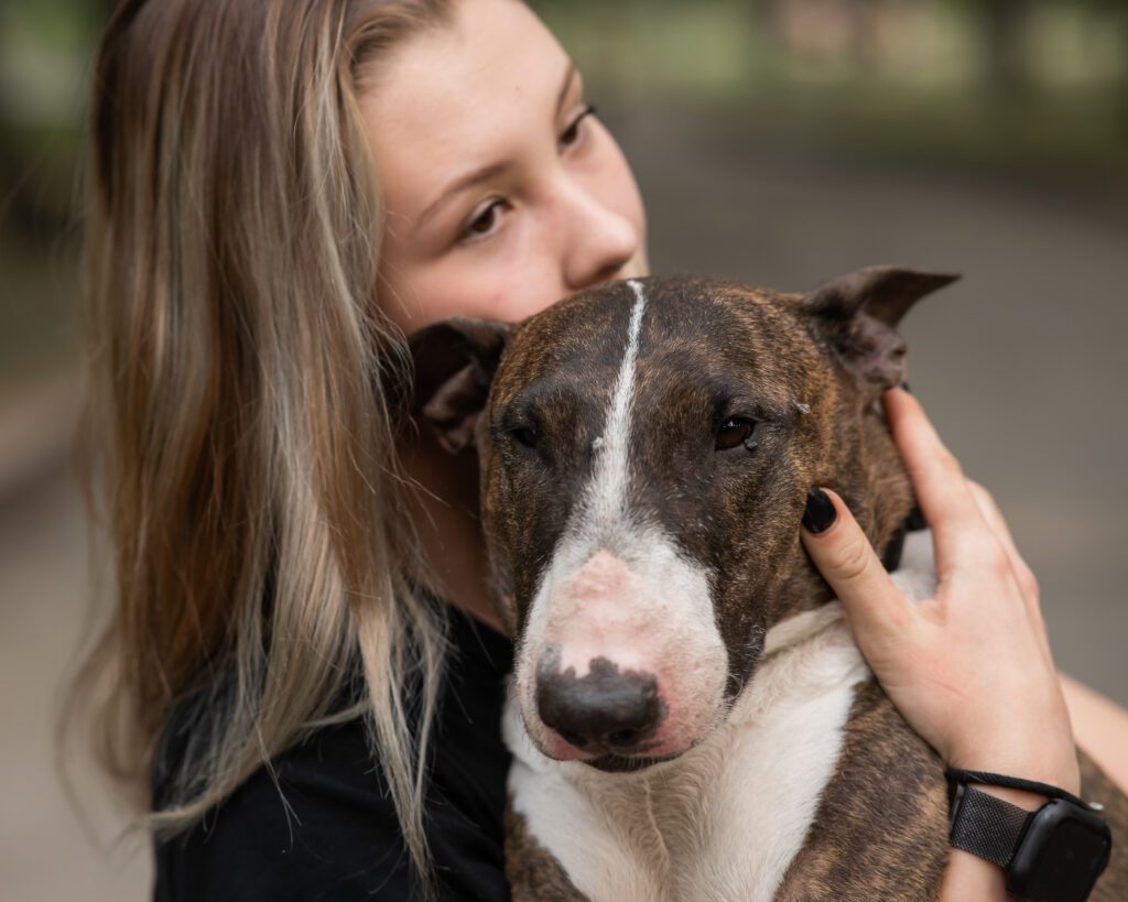 Bull Terrier Cuddling With Woman Close Up Portrait
