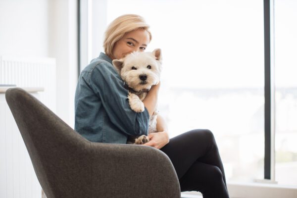 Cairn Terrier Being Held By Woman Sitting Indoors