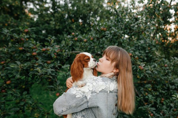 Cavalier King Charles Spaniel Being Held And Kissed By A Young Woman In A Green Garden Setting