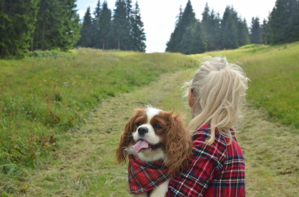 Cavalier King Charles Spaniel Sitting With A Young Child Wearing A Red Plaid Shirt In A Grassy Field