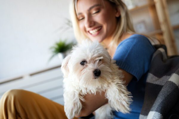 Coton De Tulear Being Held By A Smiling Woman Indoors
