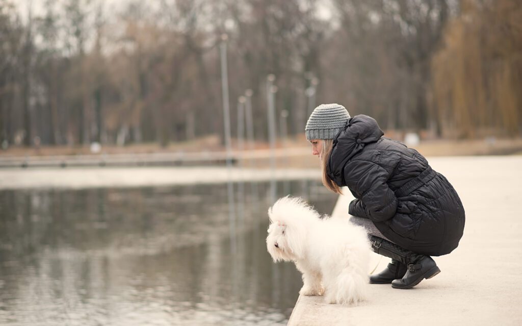 Coton De Tulear Standing Near Female Owner By A Lake In A Park