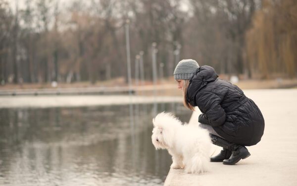Coton De Tulear Standing Near Female Owner By A Lake In A Park