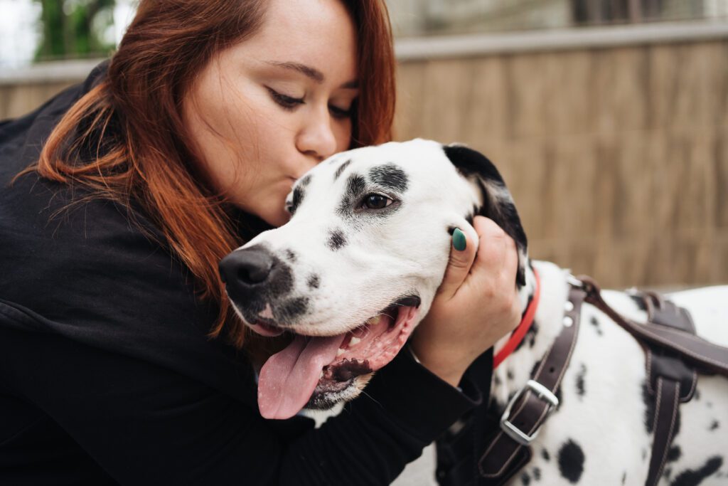 Dalmatian Being Hugged And Kissed By A Woman Close Up Portrait