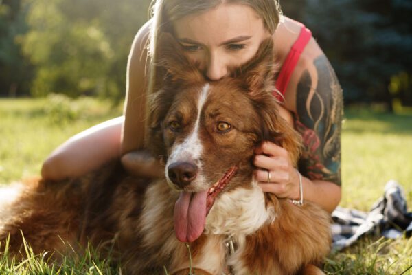 English Shepherd Being Kissed By Its Owner Outdoors
