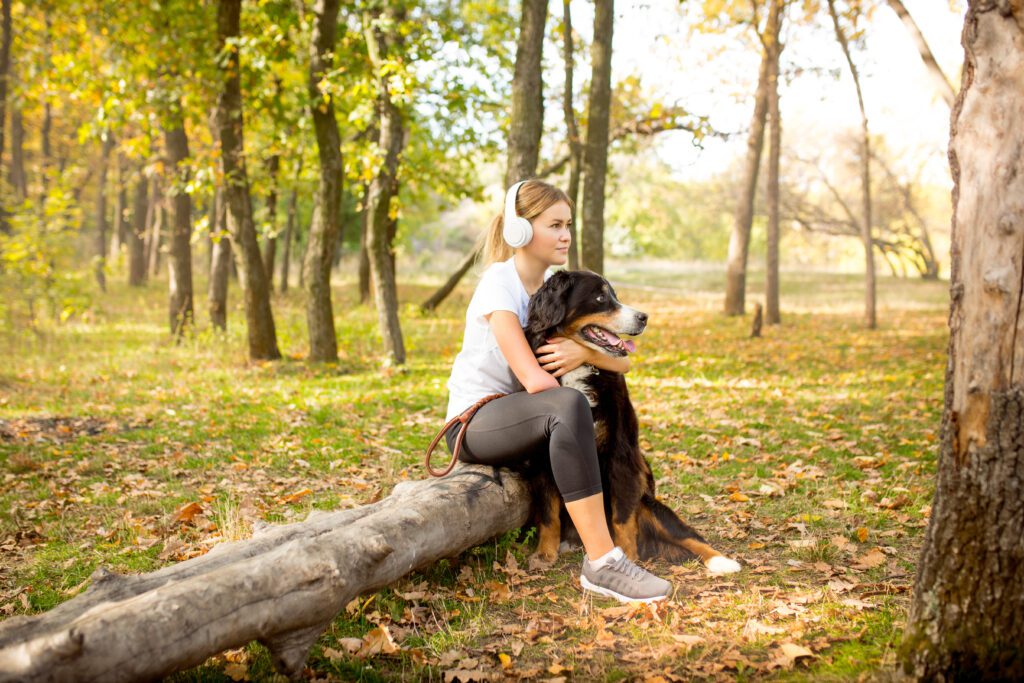 English Shepherd Sitting With Its Owner In A Forest