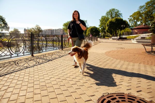 English Shepherd Walking With Its Owner Along A Riverside Path