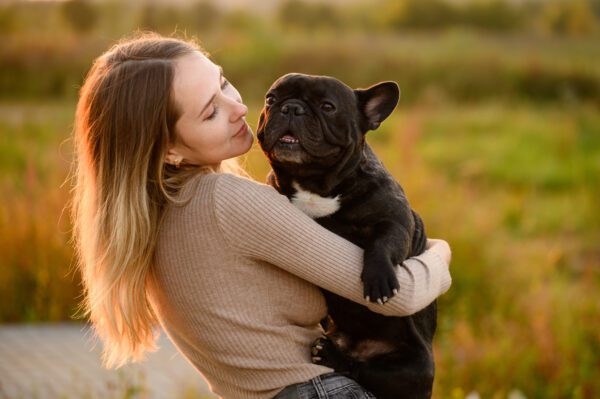 Exotic Bully Being Held And Hugged By Its Owner Outdoors