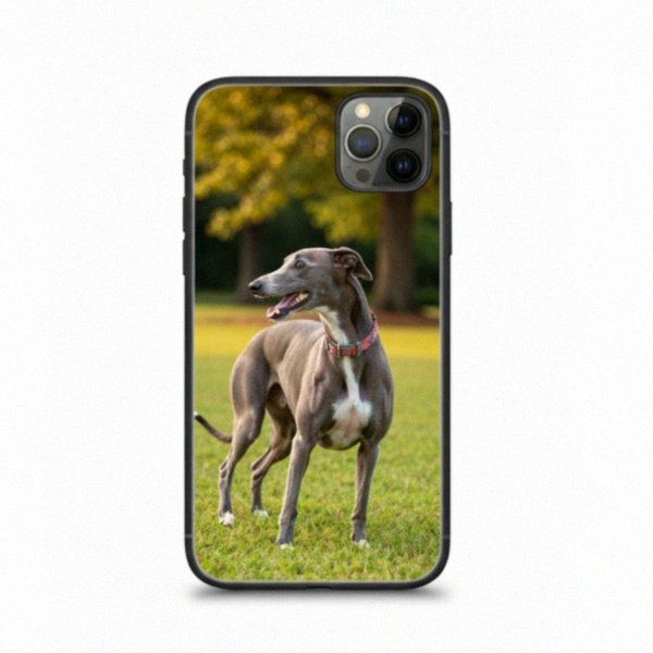 greyhound in Augusta, Georgia