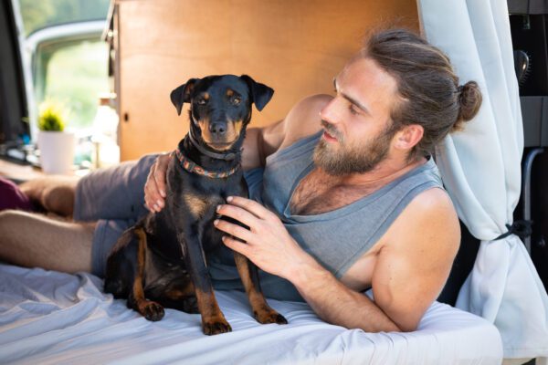 Jagdterrier Dog Sitting Beside Its Male Owner