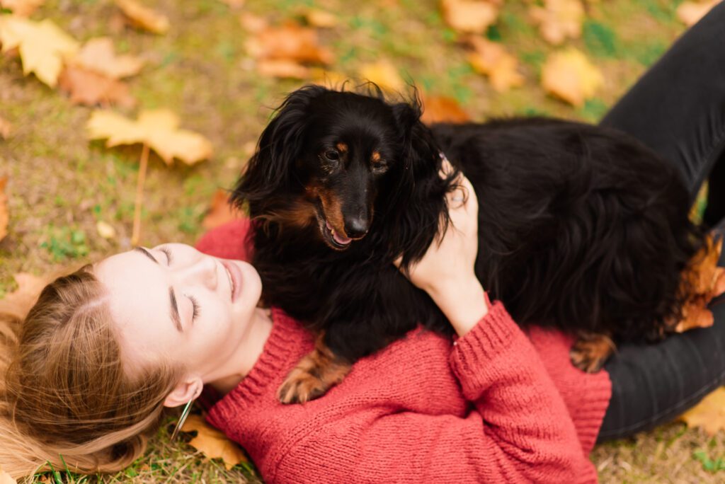 Long Haired Dachshund Lying On The Grass With Its Female Owner