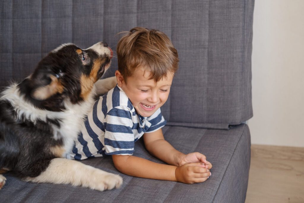 Mini Australian Shepherd Next To A Smiling Child Indoors