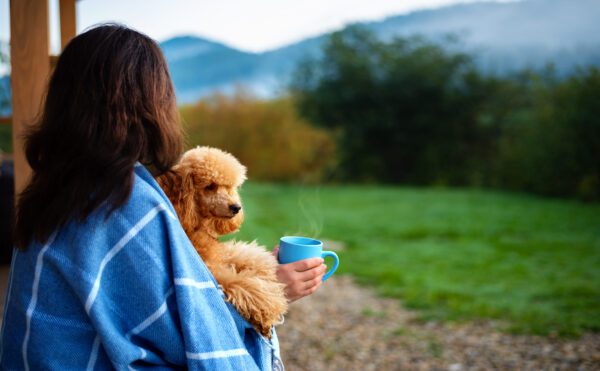 Miniature Poodle Being Held By A Woman In A Blue Shirt While Sitting In An Outdoor Field