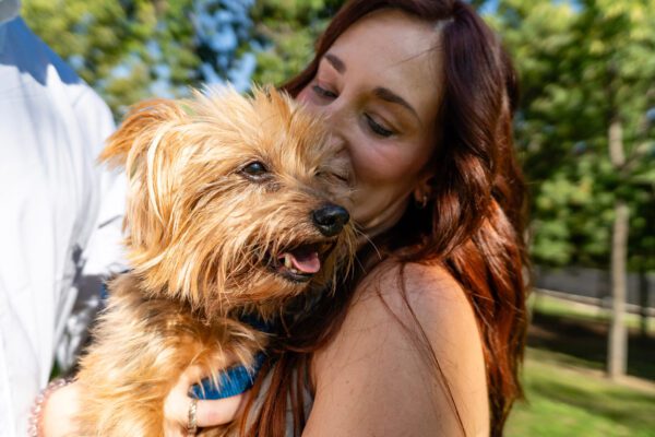 Norfolk Terrier Being Held By Woman Outdoors