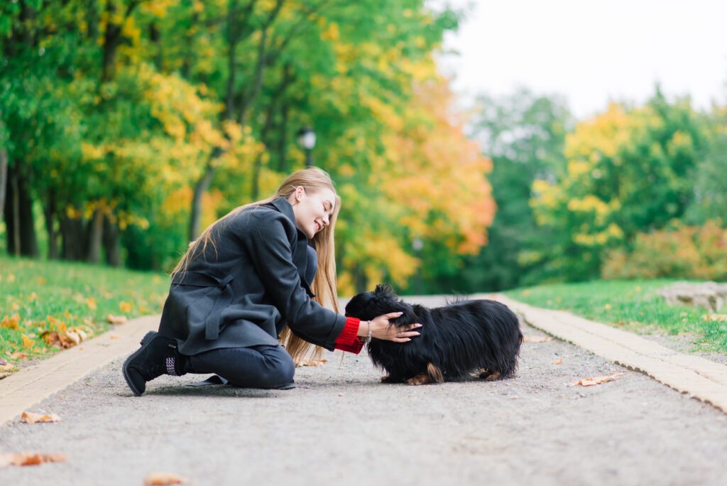 Person Kneeling And Petting A Long Haired Dachshund In A Park