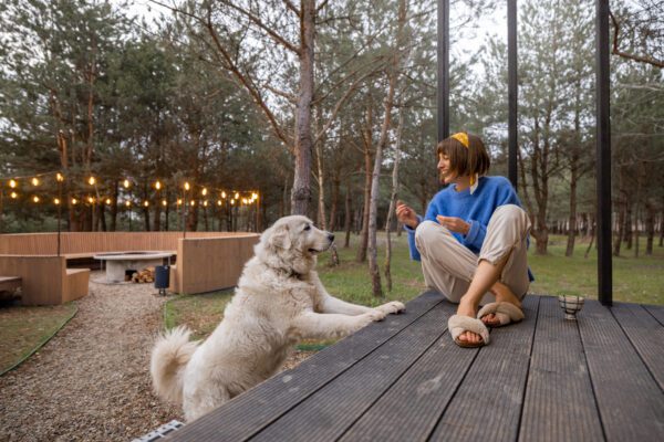 Person Sitting On A Deck With A Maremma Sheepdog