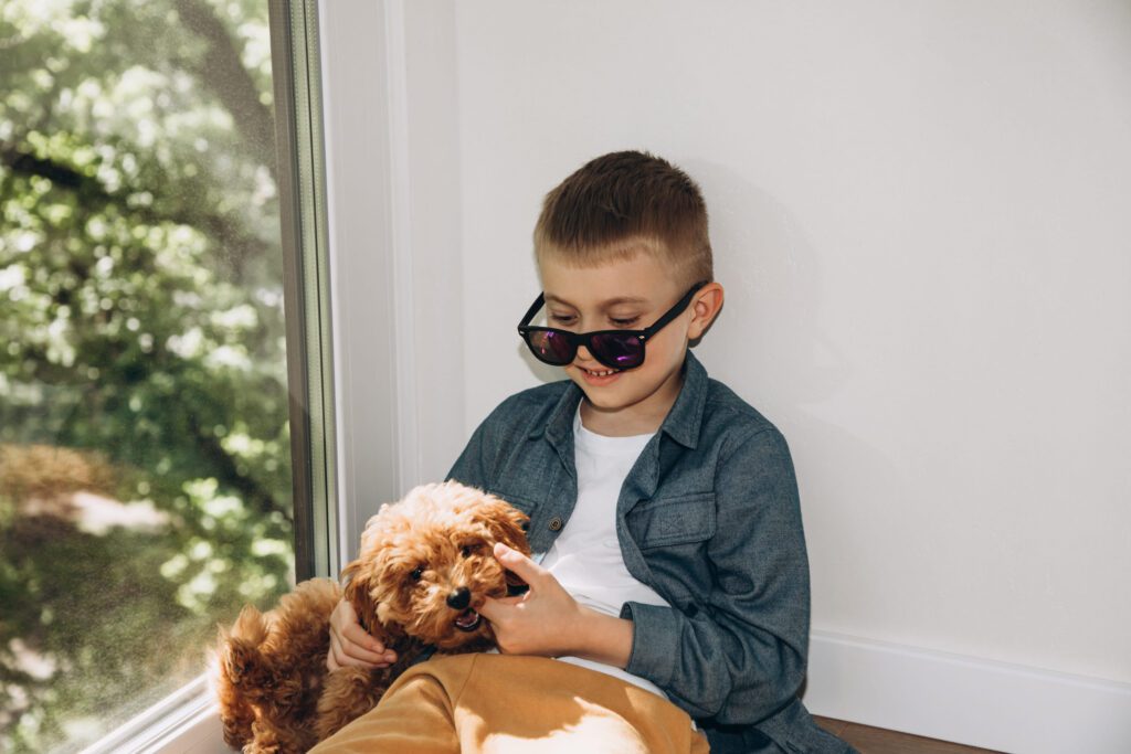 Pomapoo Puppy Sitting With Boy Indoors