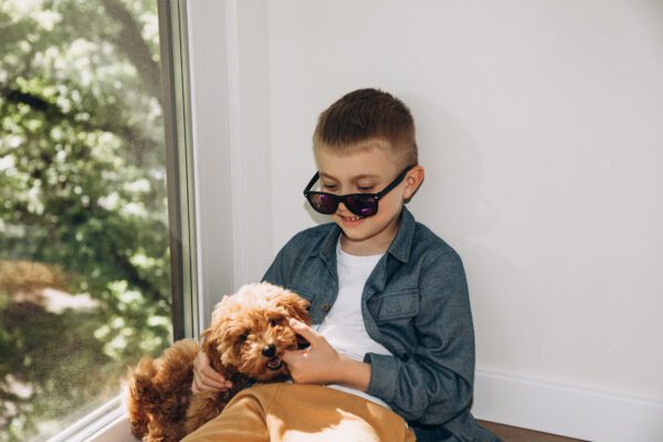 Pomapoo Puppy Sitting With Boy Indoors