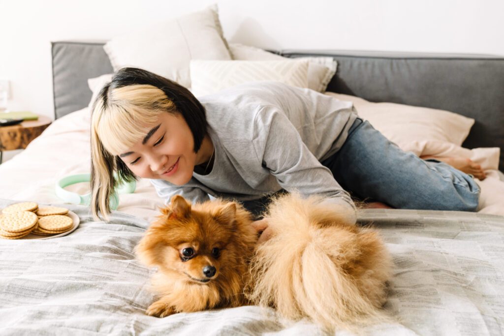 Pomchi Relaxing Beside Woman On Living Room Floor