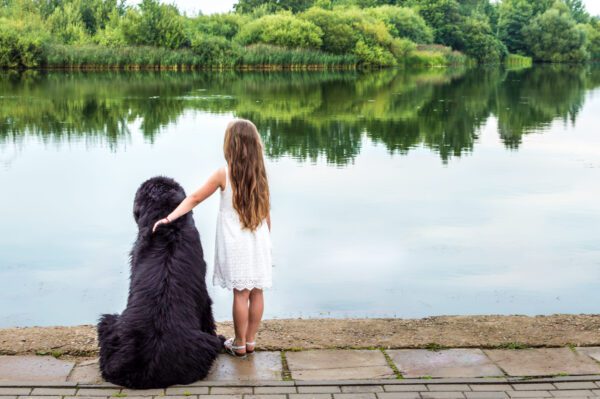 Portuguese Water Dog Sitting With Girl By Calm Lake