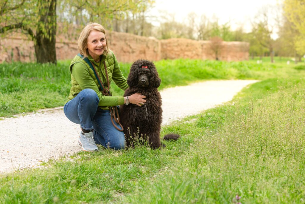Portuguese Water Dog Sitting With Owner On Grassy Path