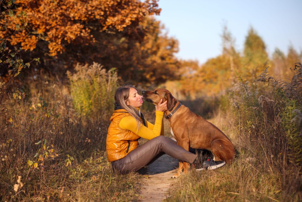 Rhodesian Ridgeback Sitting With Owner In Autumn Setting