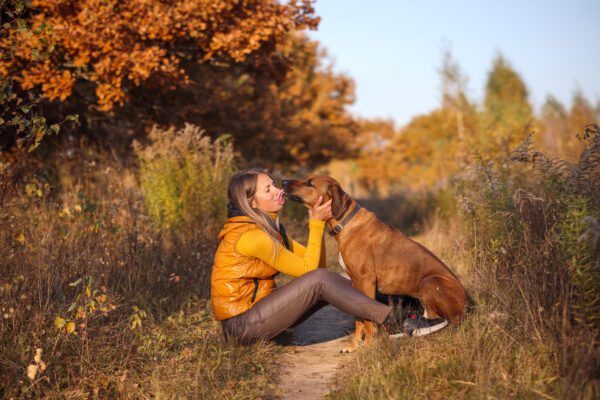 Rhodesian Ridgeback Sitting With Owner In Autumn Setting