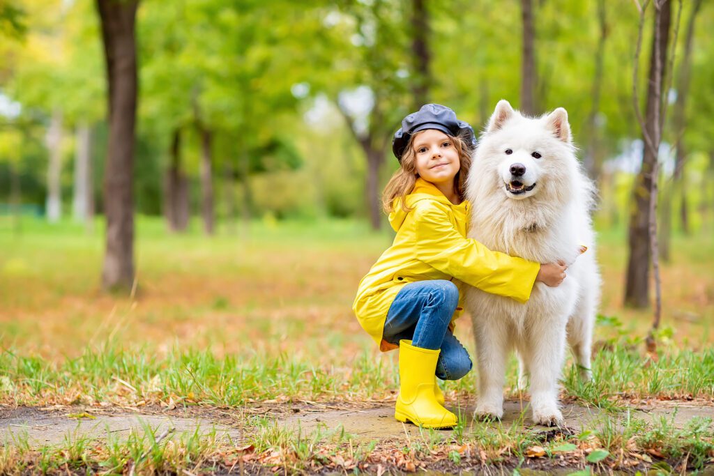 Samoyed With Child Hugging In Autumn Park