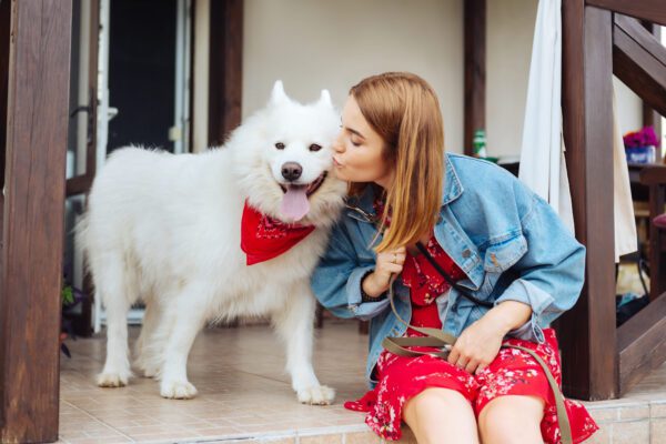 Samoyed With Owner Indoors Near Doorway