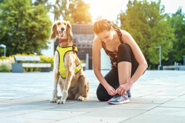Silken Windhound Sitting Beside Owner Tying Shoes