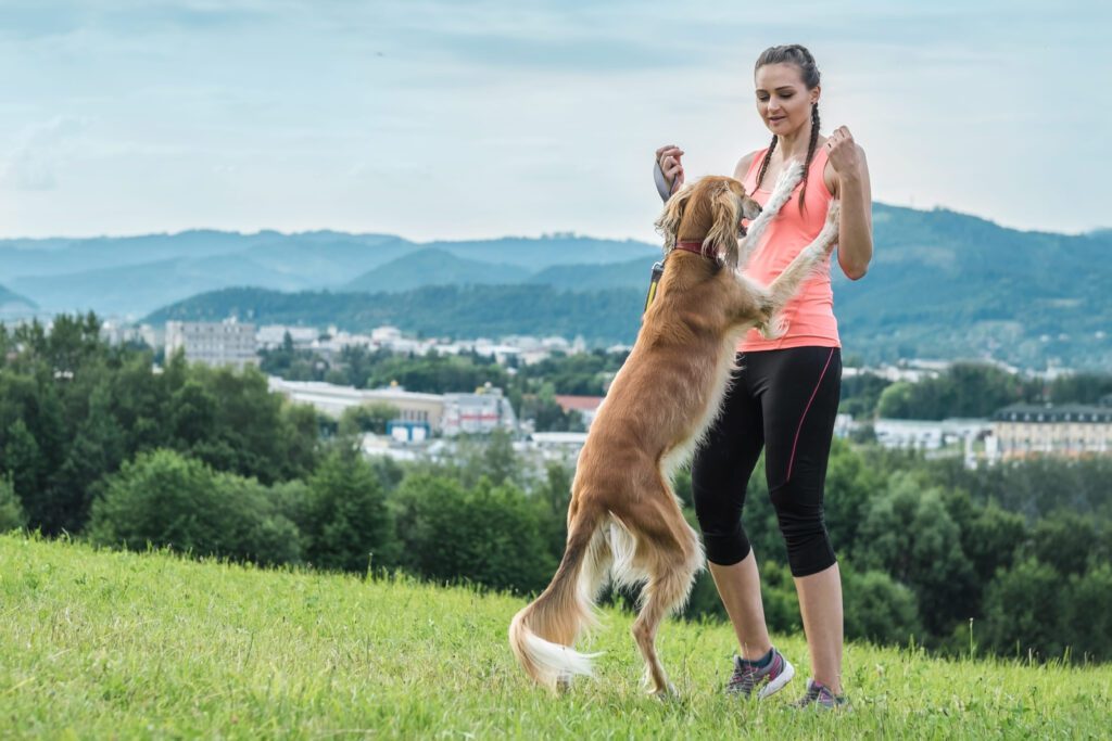 Silken Windhound Standing With Owner On Hillside Outdoors
