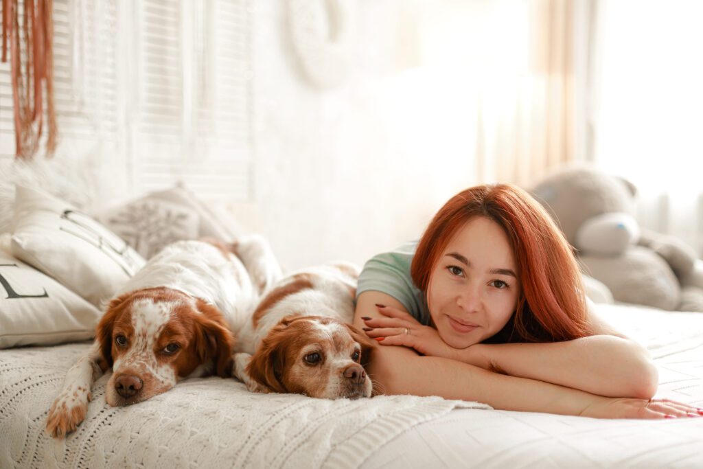 Two Bracco Italiano Puppies Resting Beside Young Woman Indoors