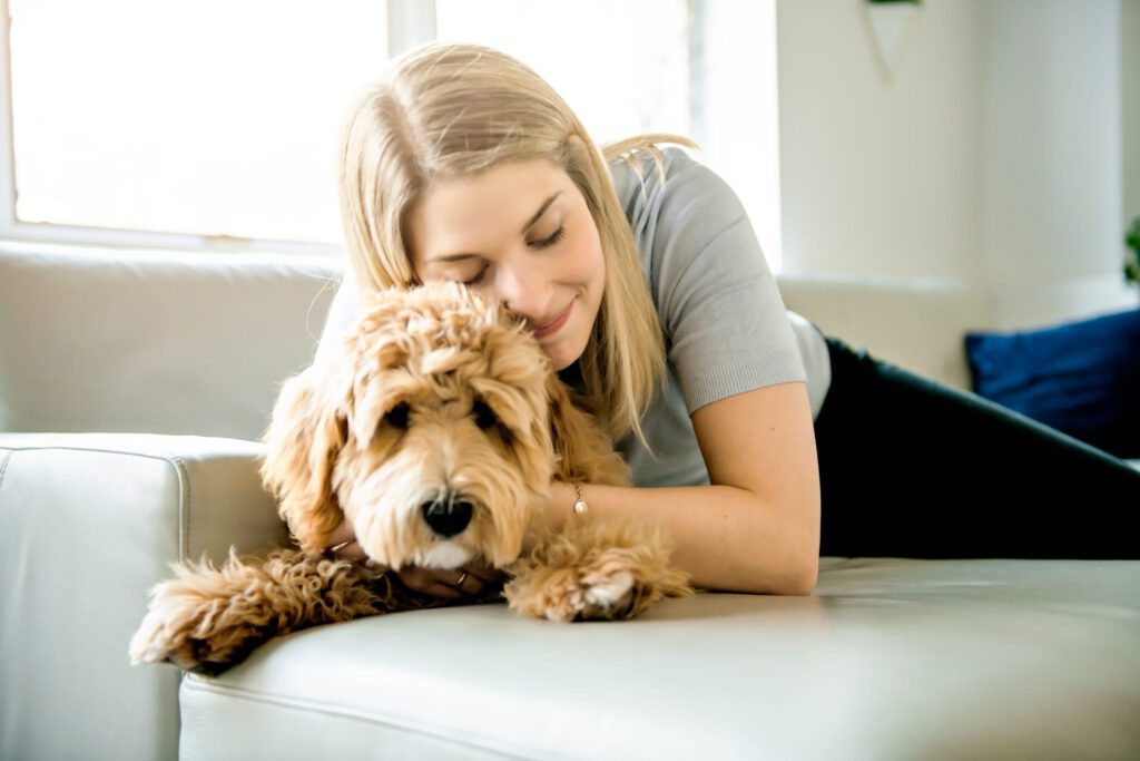 Woman Cuddling A Mini Labradoodle On A Couch