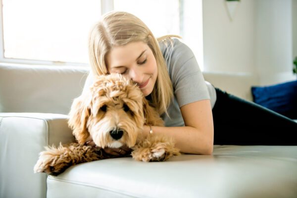Woman Cuddling A Mini Labradoodle On A Couch