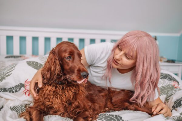 Woman Cuddling An Irish Setter Indoors