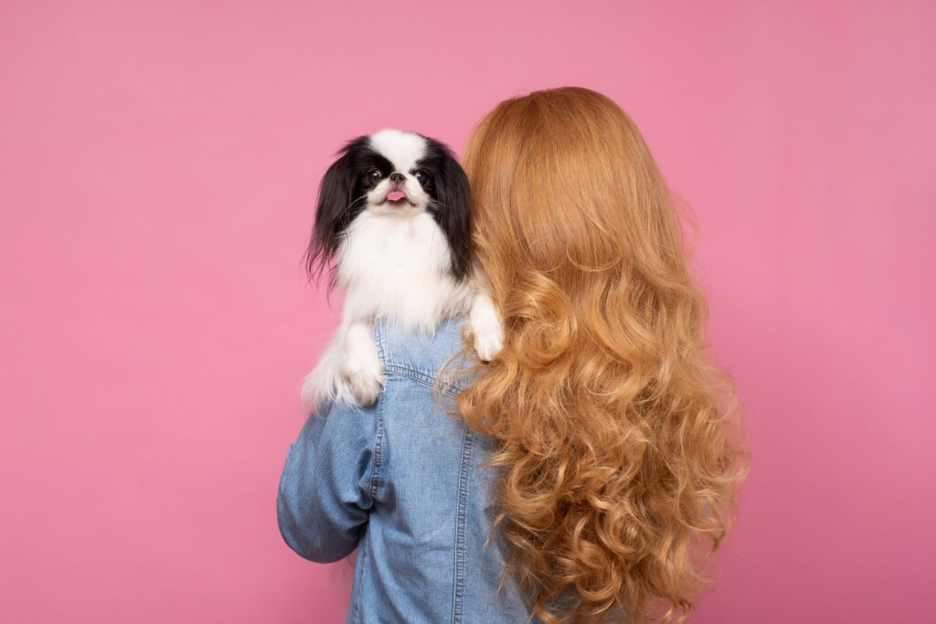 Woman Holding A Japanese Chin Dog Against A Pink Background
