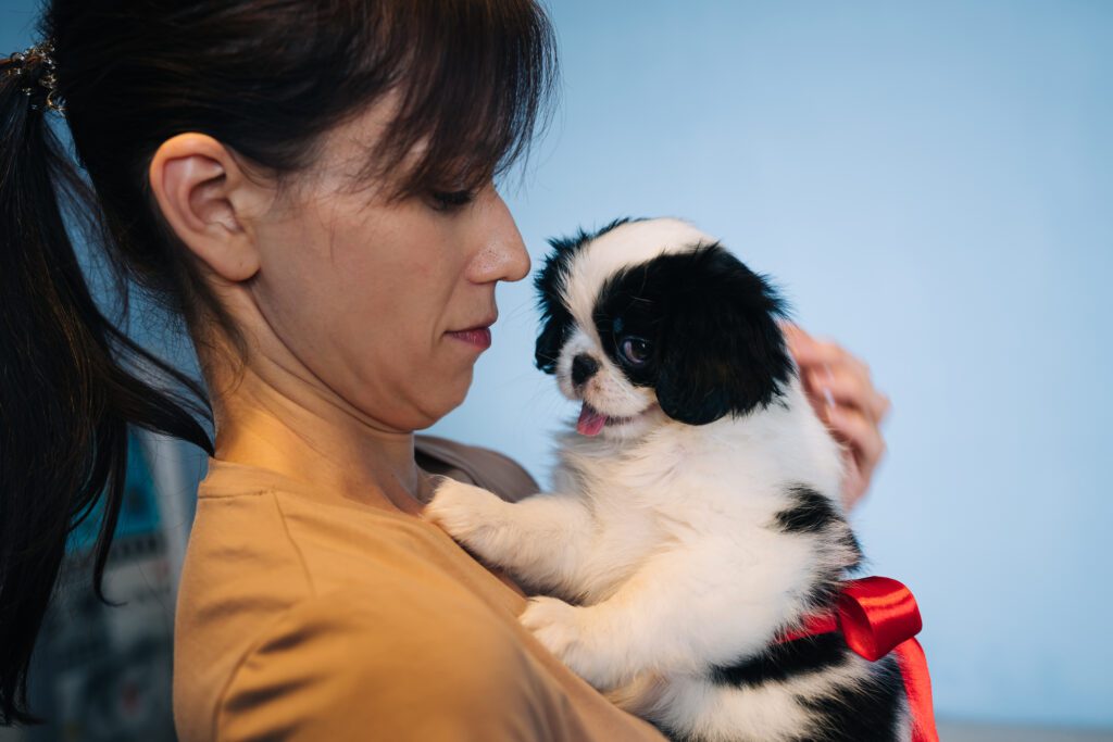 Woman Holding A Japanese Chin Puppy