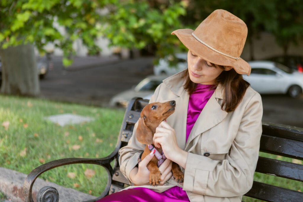 Woman Holding A Miniature Dachshund Puppy On A Bench