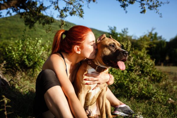 Woman Hugging And Kissing Boerboel Dog Outdoors