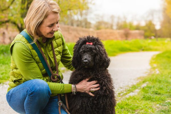 Woman Petting An Irish Water Spaniel Outdoors