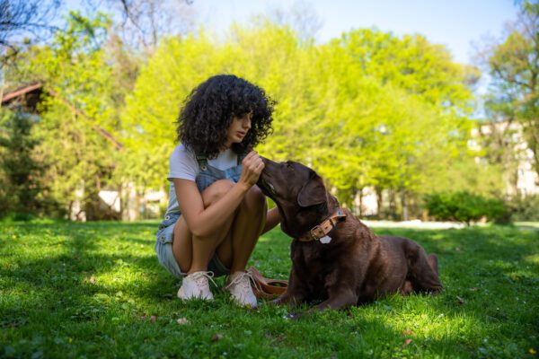 Woman Sitting With Black Lab In Park