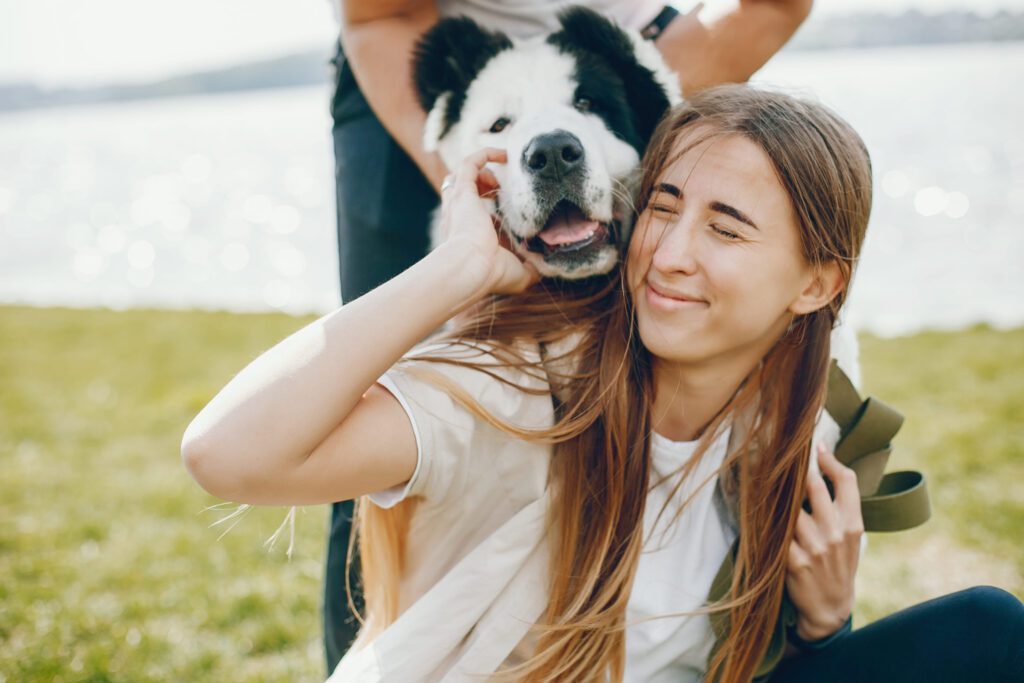 Central Asian Shepherd Being Hugged By A Smiling Woman Outdoors In A Sunny Park