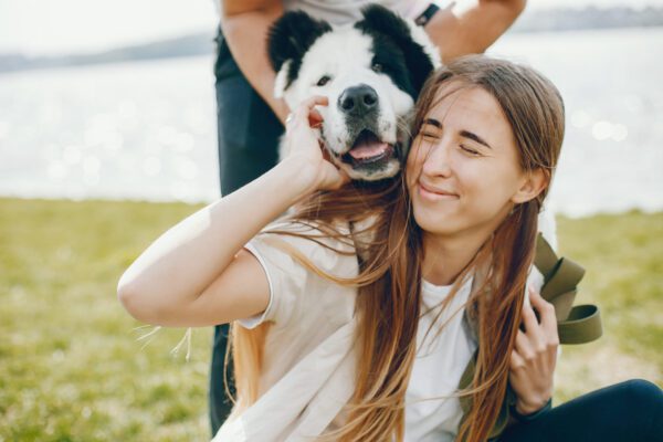 Central Asian Shepherd Being Hugged By A Smiling Woman Outdoors In A Sunny Park