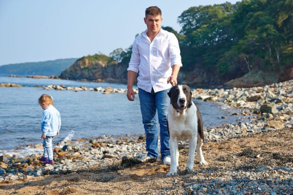 Central Asian Shepherd Walking On A Rocky Beach With A Man And Child Near The Water