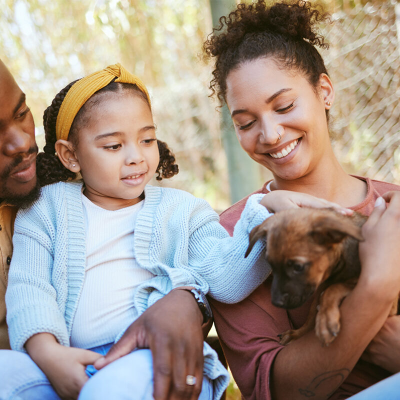 Happy family, animal shelter and dog with girl and parents bond, relax and sharing moment of love, trust and care. Black family, animal rescue and puppy with family at shelter, playful, cute and joy