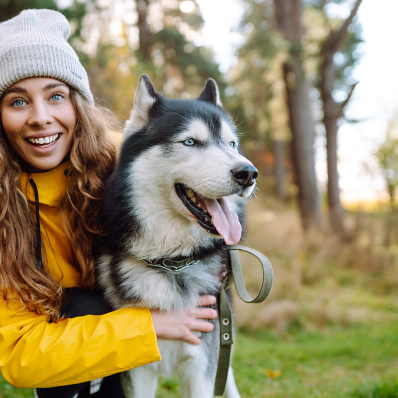 Husky Florida 1 Husky Florida 1