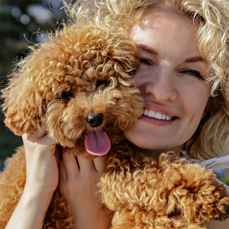 smiling woman holding teacup poodle with their tongue outside in new york