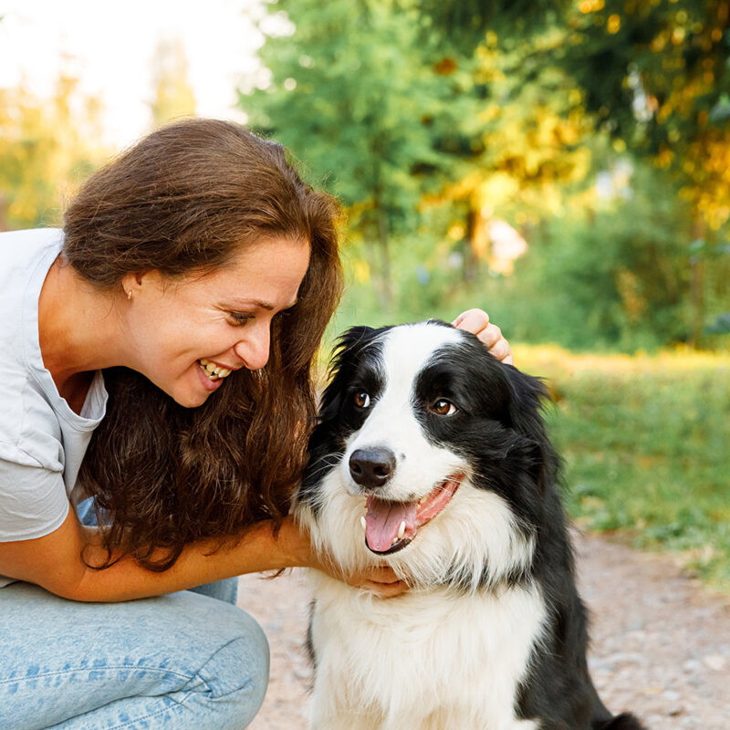 happy female owner with border collie outside happy female owner with border collie outside