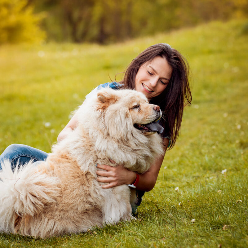 female owner with happy chow chow outdoors female owner with happy chow chow outdoors