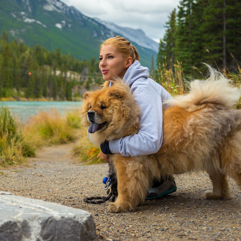 female owner hugging chow chow outdoors female owner hugging chow chow outdoors